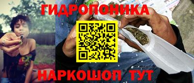 a pvp Кинель