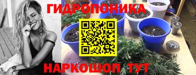 а пвп мука Кингисепп