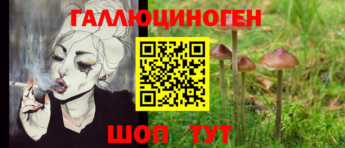 Химки  Псилоцибиновые грибы мухоморы  Вход с VPN  Псилоцибиновые грибы GOLDEN TEACHER 