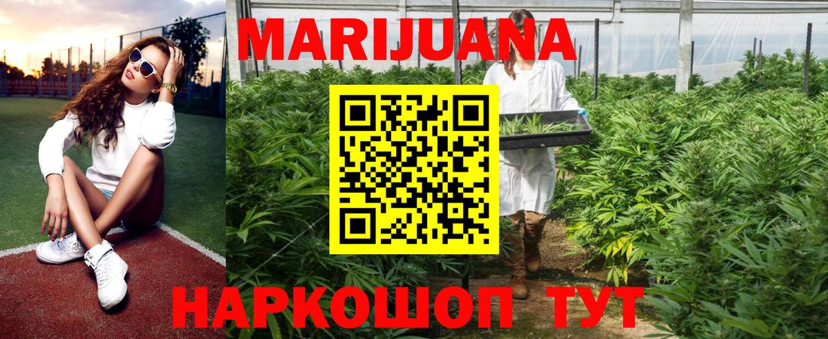 Конопля OG Kush Химки
